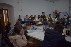 alba12